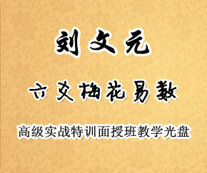 刘文元梅花易数六爻08年高级特训面授学习录像83个视频13.4g安卓