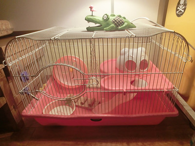 达洋m031大猫头仓鼠笼子金丝熊西施熊超大别墅笼圆顶带门大中小号