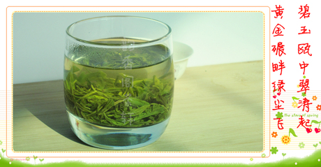 五峰毛尖2014新茶叶湖北宜昌邓村绿茶萧氏采花毛尖500g炒青富硒茶