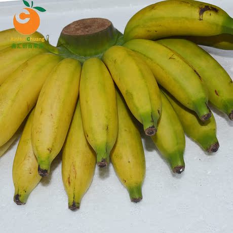 海南三亚热带水果 皇帝蕉 小米蕉 帝王蕉 5斤装 新鲜水果 香蕉