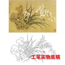 德艺素材 From The Best Shopping Agent Yoycart Com