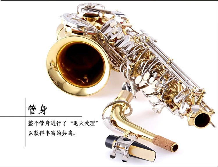 Nhạc vàng alto saxophone nhạc cụ saxophone hai màu xử lý nút mạ niken JYAS-E100D - Nhạc cụ phương Tây đàn harmonica