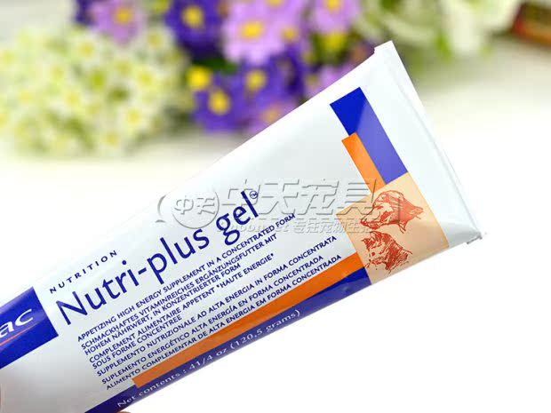 Sản phẩm chăm sóc sức khỏe cho chó cưng quốc gia Pháp Kem dinh dưỡng Vickers 120,5g dinh dưỡng cho chó và mèo 	sữa cho mèo uống	