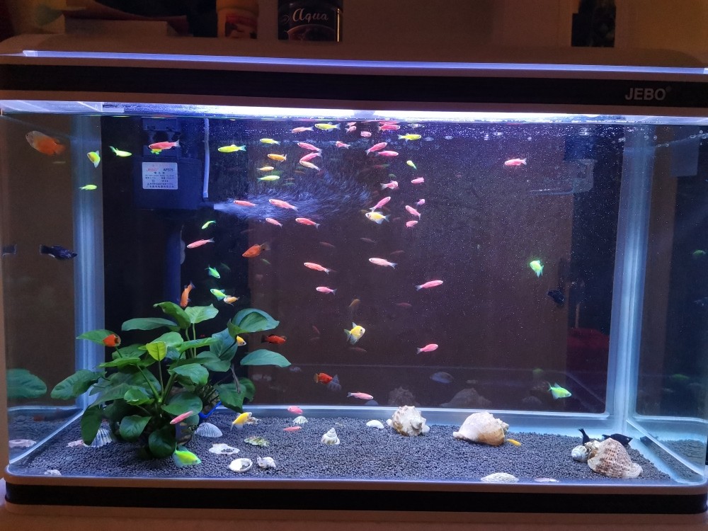 佳宝水族箱80cm懒人玻璃小鱼缸中大型超白客厅免换水60公分1米1.