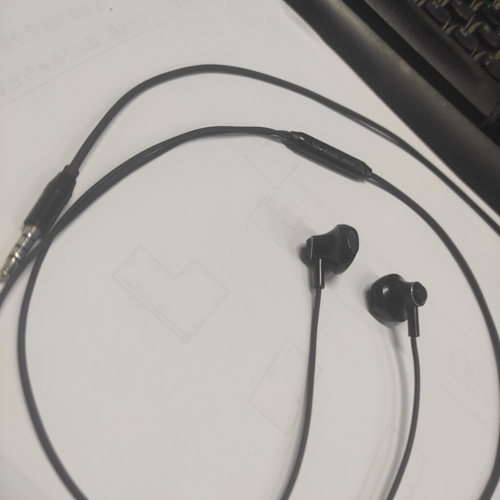 兰士顿耳机有线typec接口适用小米11/10pro入耳式红米k40原装正品