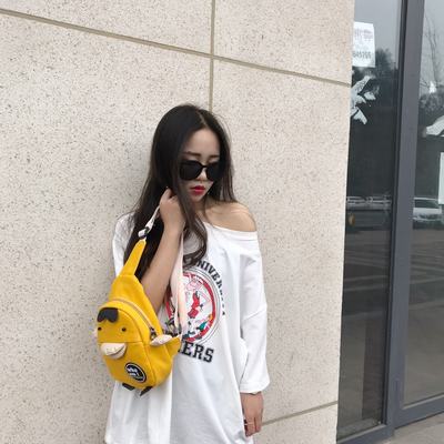 迷你上新小包包女包新款2019帆布包女斜挎包百搭ins超火时尚胸包