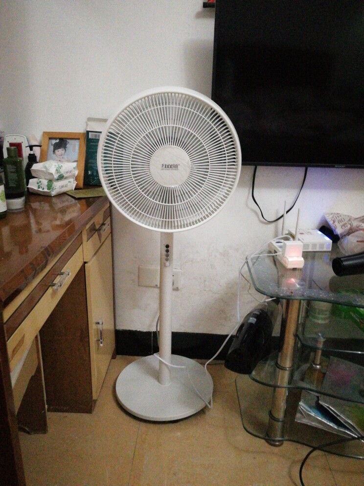 红双喜电风扇静音遥控落地扇家用台式强力工业电扇宿舍立式摇头大