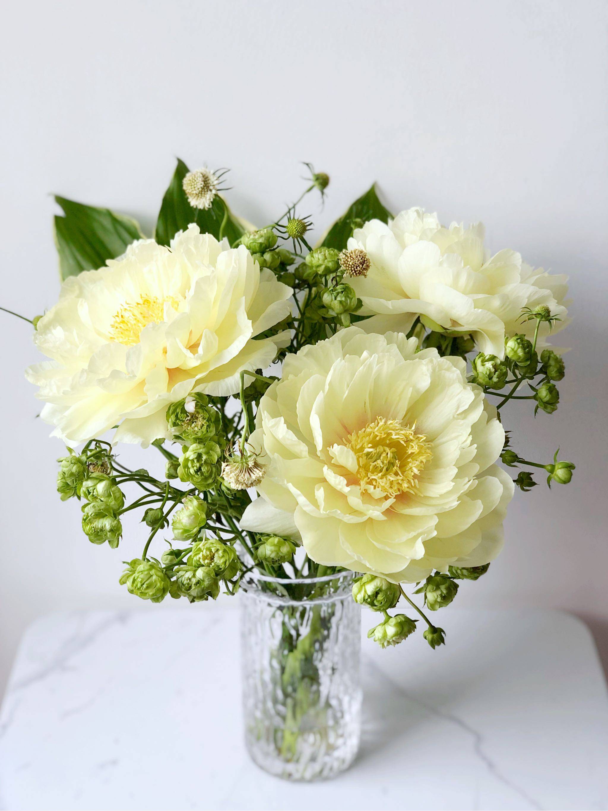 简约轻奢ins透明玻璃花瓶摆件北欧风客厅创意极冻鲜花网红插花器