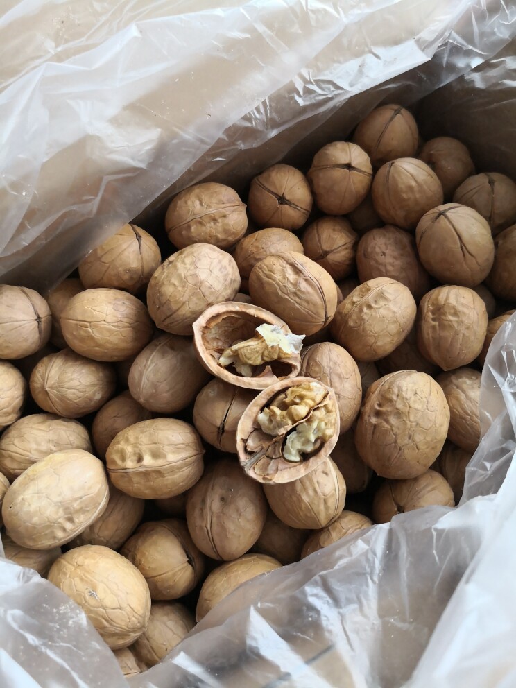 核桃薄皮2021新货纸皮生新鲜孕妇原味新疆薄壳仁大散装熟专用5斤