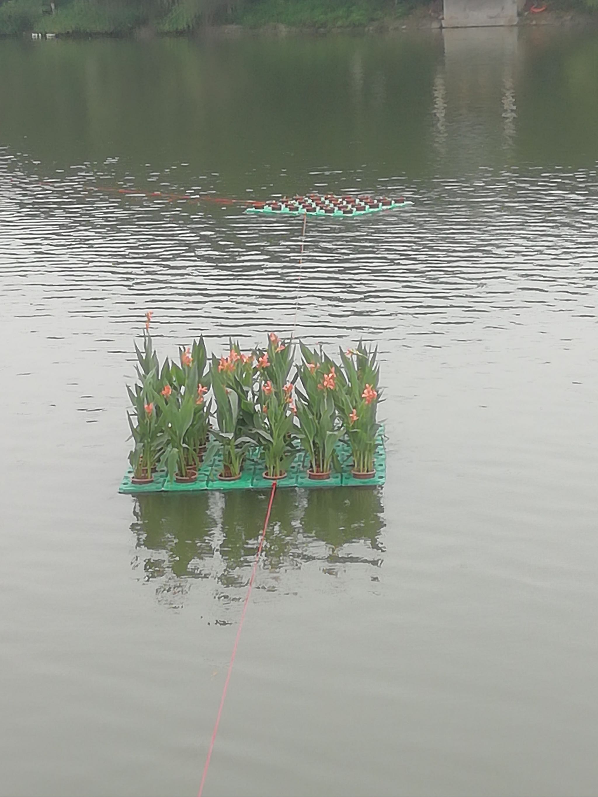 人工生態浮島生態浮島人工浮床水上種植生態浮床水上種菜淨化水質